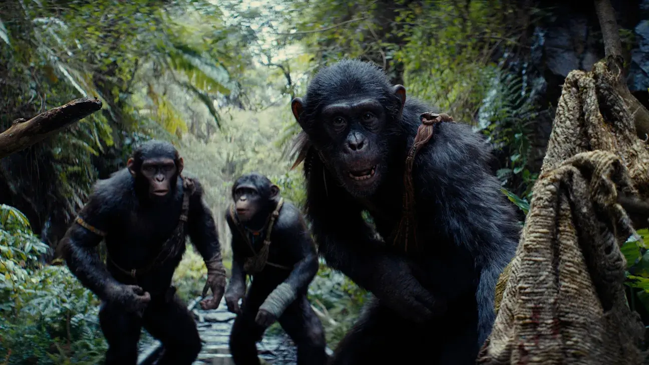 kingdom-of-the-planet-of-the-apes2024-movie