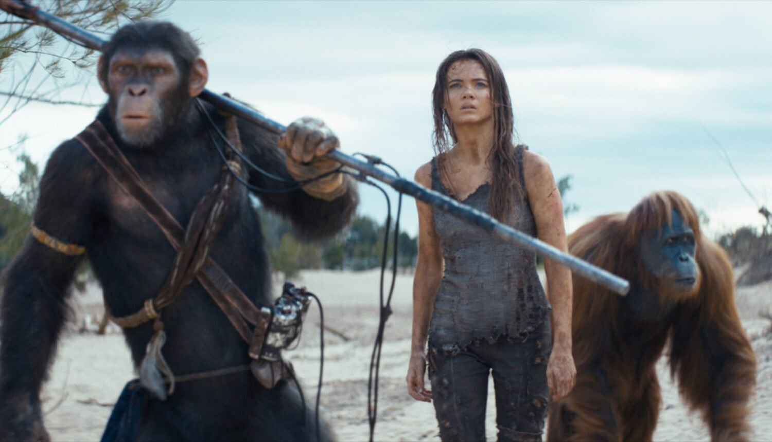 kingdom-of-the-planet-of-the-apes2024-movie