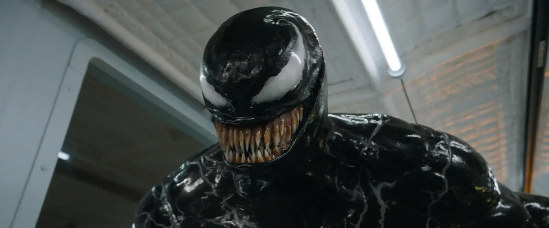 venom-the-last-dance-movie-2024-tom-hardy