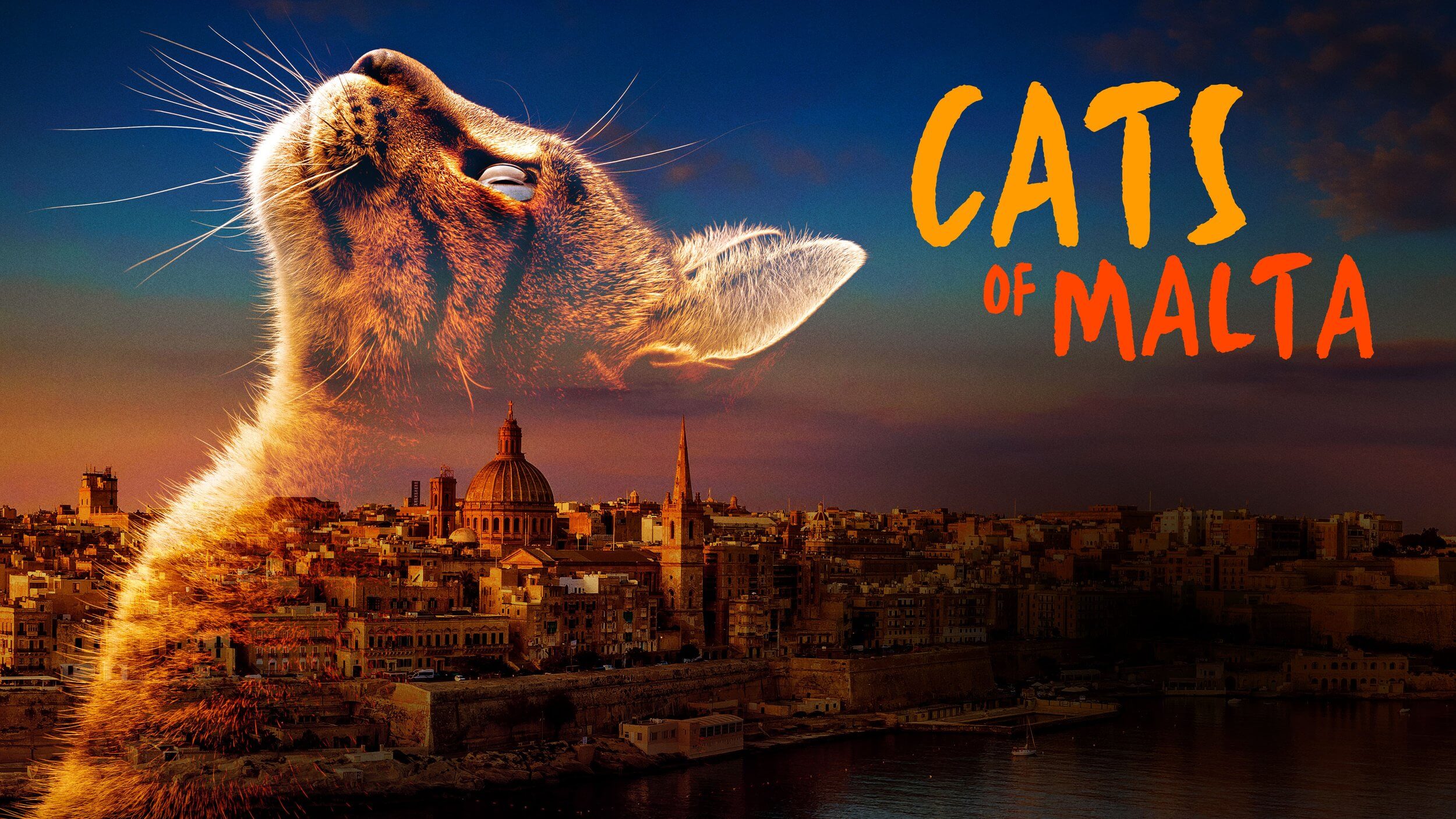 cats-of-malta-2023-movie-documentary