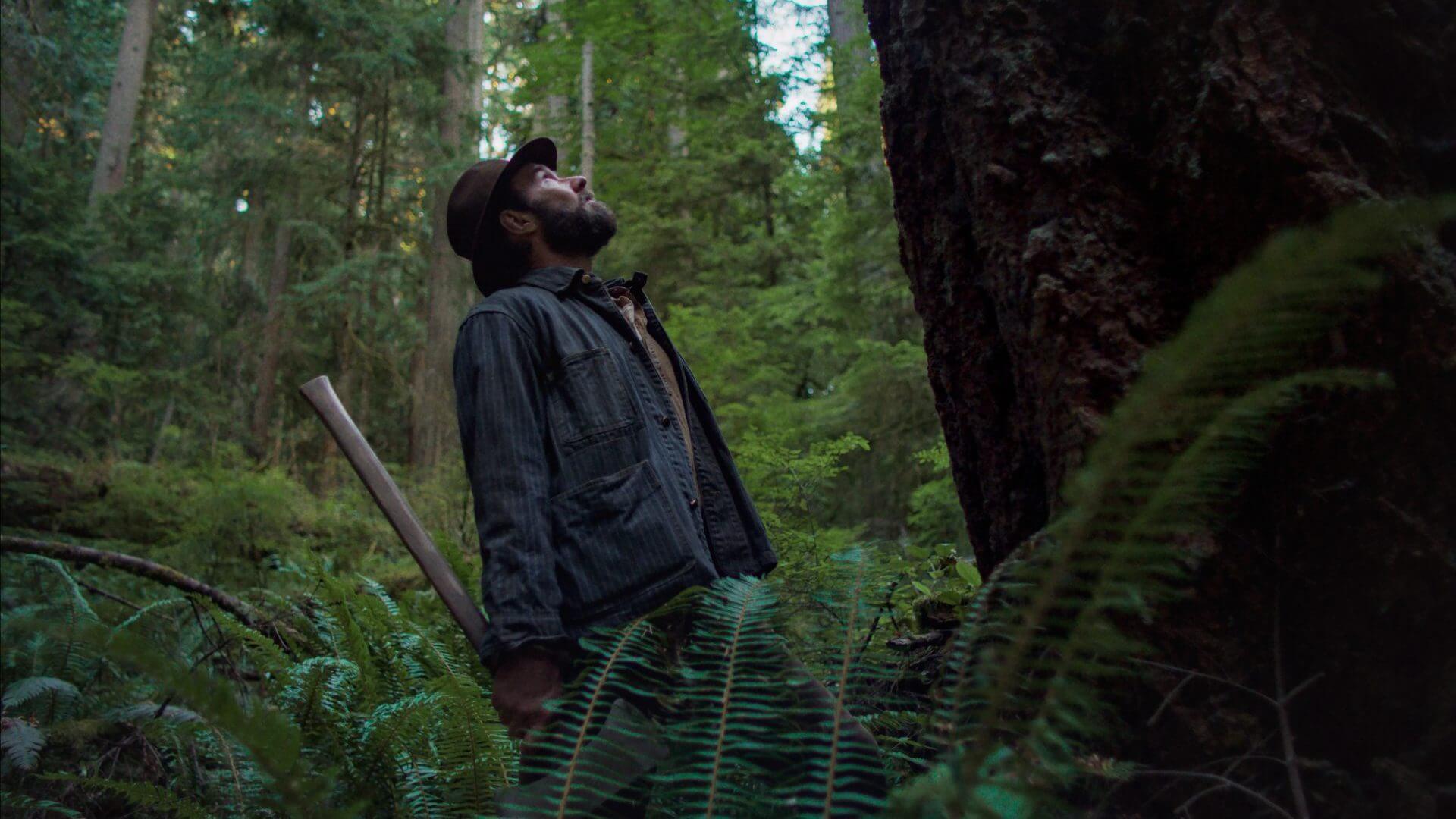 「トレイン・ドリームズ」|美しい自然と過酷な運命…ただひっそり生きた男の人生がなぜ胸を打つ?【ネタバレ感想】NETFLIX映画