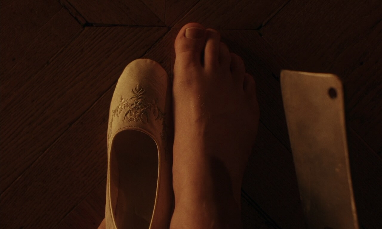 アグリーシスター 可愛いあの娘は醜いわたしネタバレ感想映画