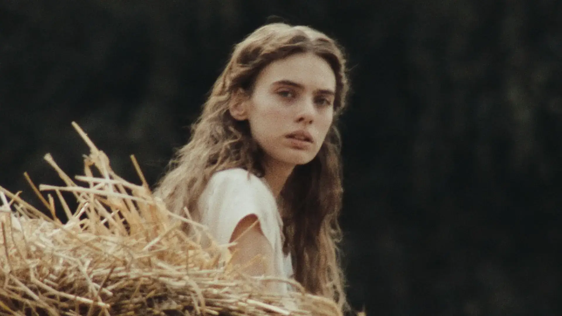 「落下音」"Sound of Falling 2025"ネタバレ映画感想