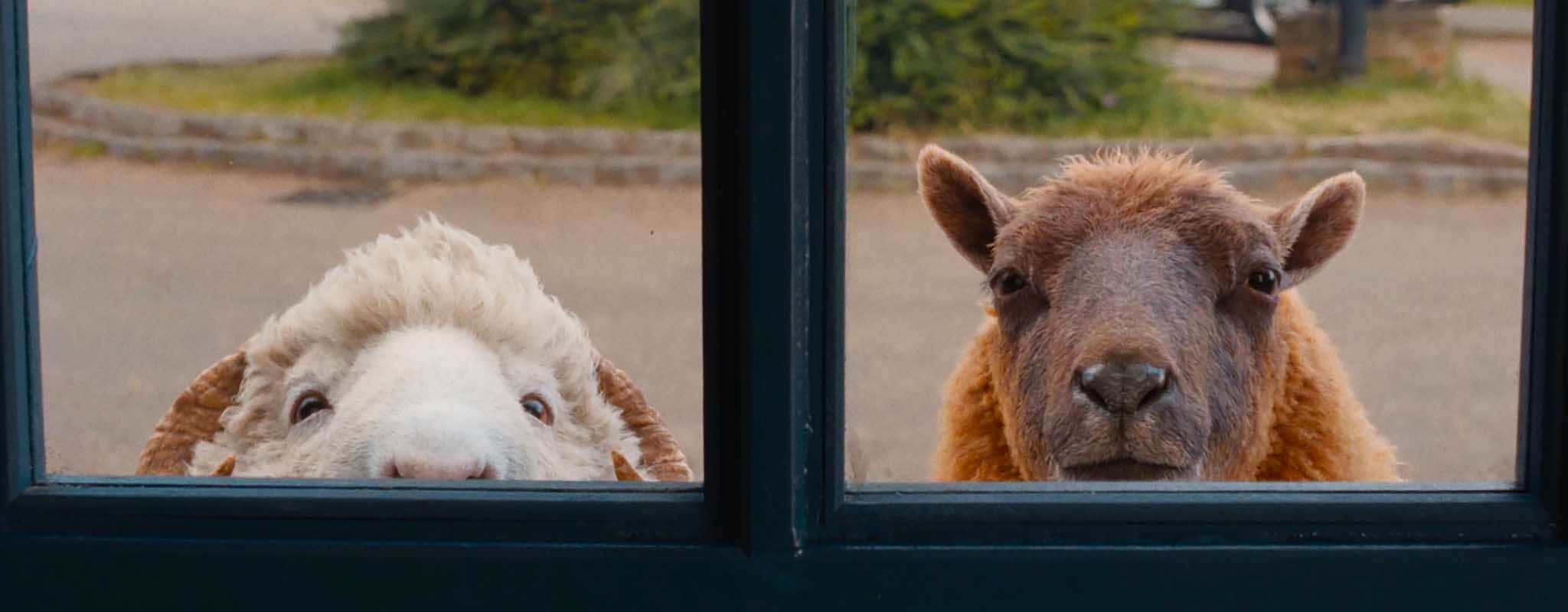 TheSheepDetectives_ひつじ探偵団映画ネタバレ感想