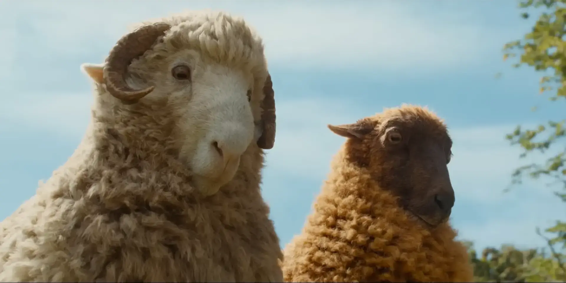 TheSheepDetectives_ひつじ探偵団映画ネタバレ感想